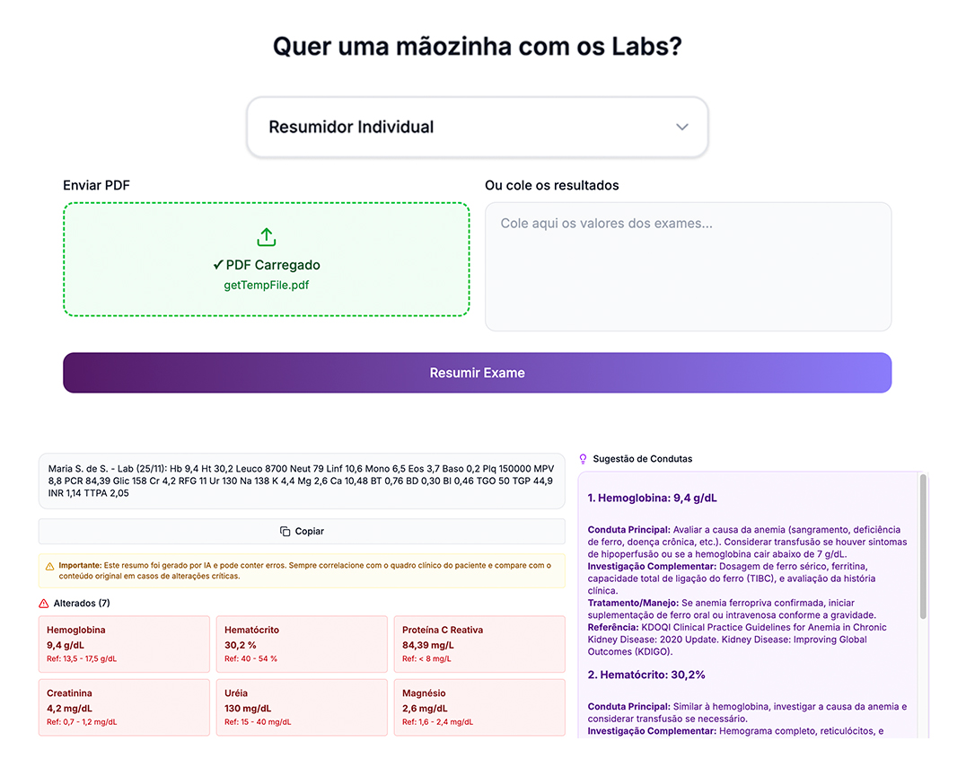 Tela do Resumidor Individual LabHelp AI